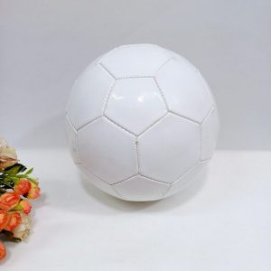 Изображение для Футбольный мяч Белый - 6542